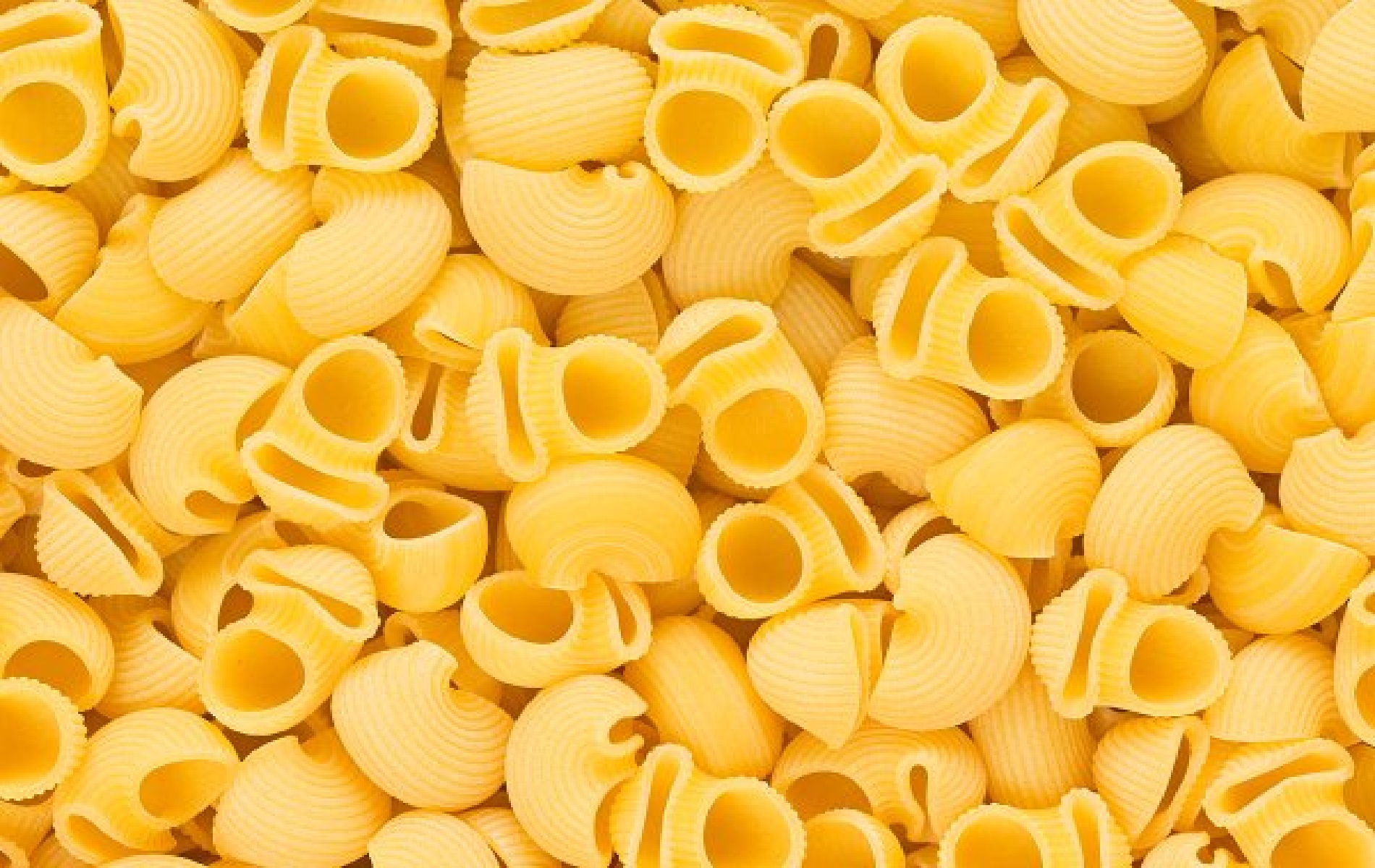 pipe rigate pasta - PONTE ADRIATICO